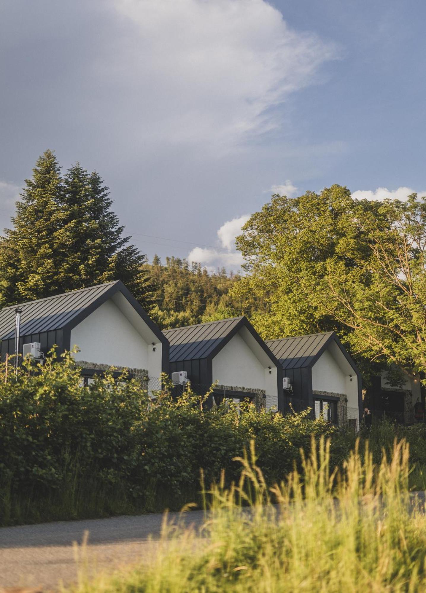 Chalet Sowie Chatki - Z Widokiem Na Gory Sowie Sokolec